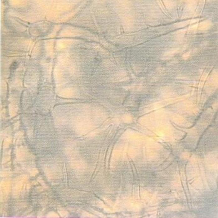 TS of leaf