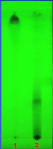 أ
