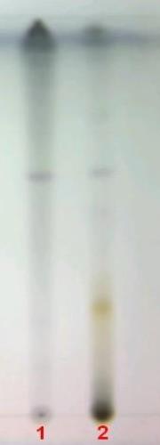 ب