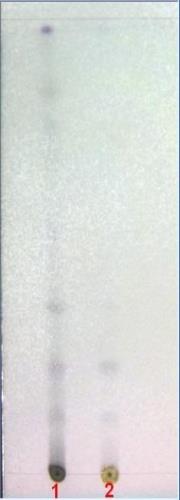 د