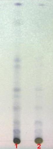 ج
