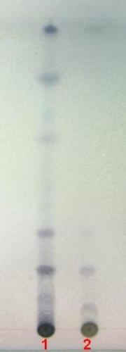 ج