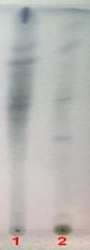د