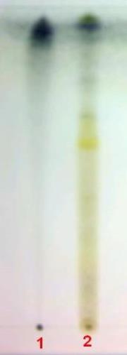 د