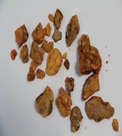 Resin