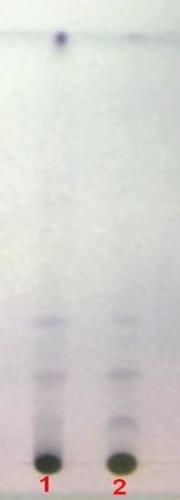 د