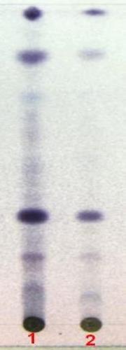 د