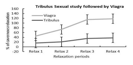 Sexual study