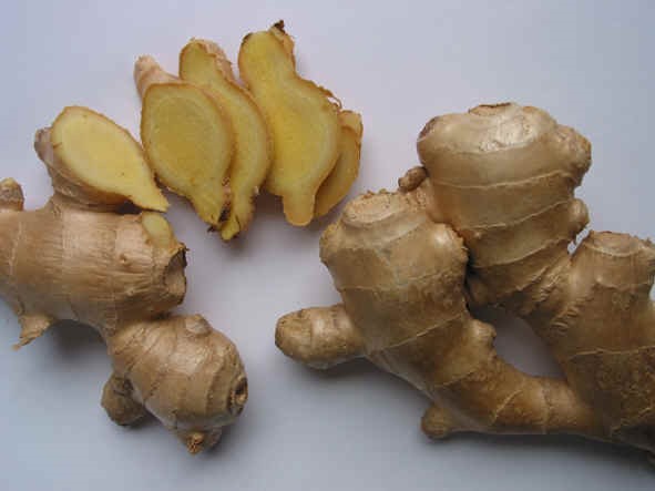 الريزومات